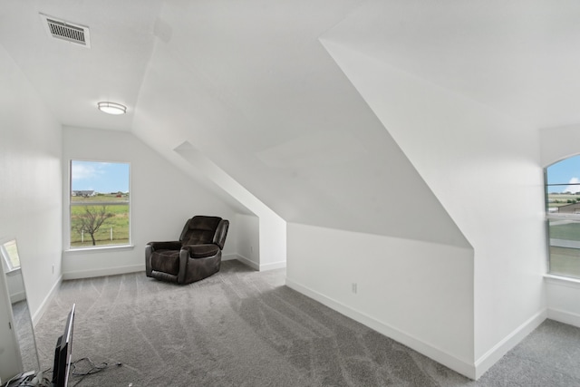 bonus room with light carpet, vaulted ceiling, and plenty of natural light