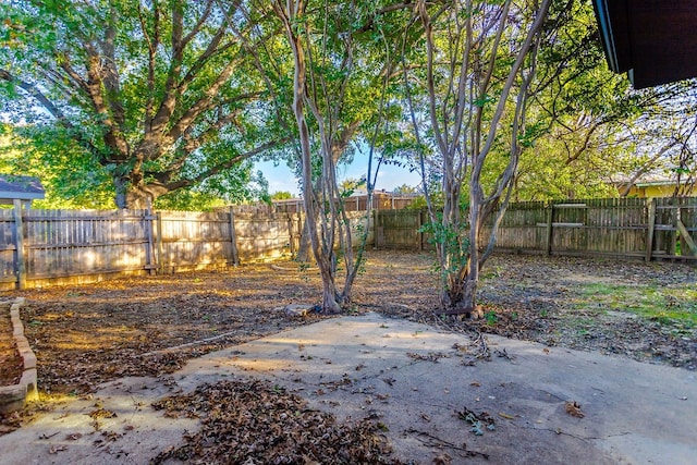 view of yard featuring a patio