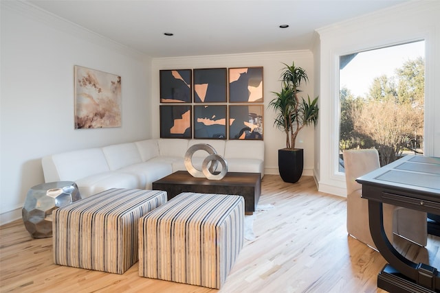 living room with crown molding and light wood-type flooring