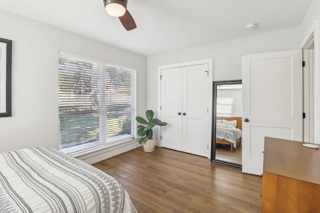 bedroom featuring ceiling fan, a closet, and wood-type flooring