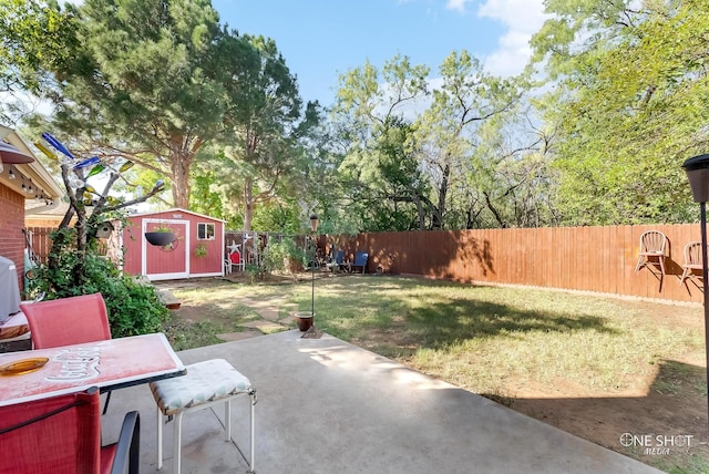 view of yard with a patio area and a shed