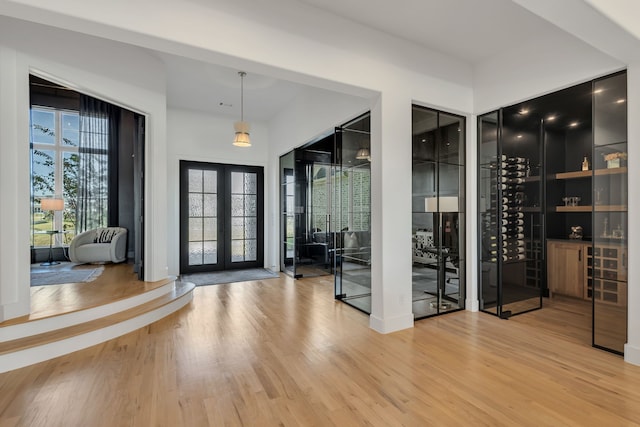 wine cellar featuring wood-type flooring and french doors