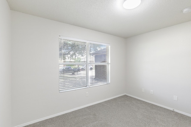 empty room with carpet flooring and a textured ceiling