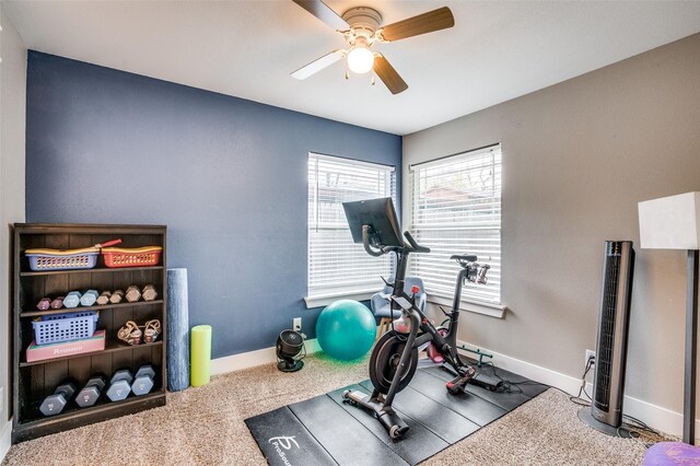 exercise room with carpet flooring and ceiling fan