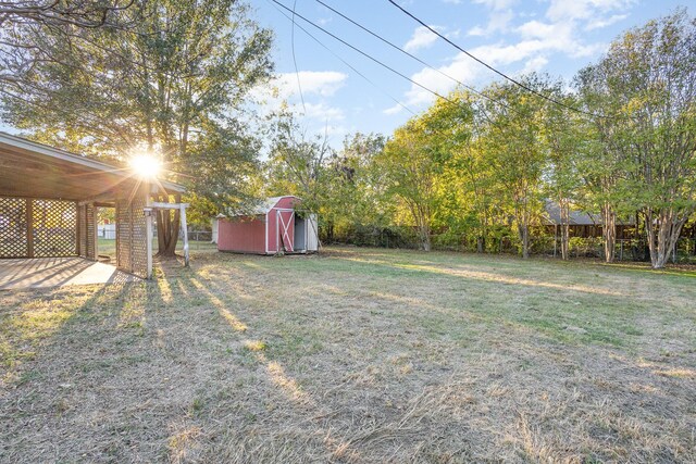 view of yard featuring a storage shed