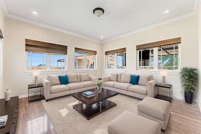 living room featuring light wood-type flooring, a wealth of natural light, and crown molding