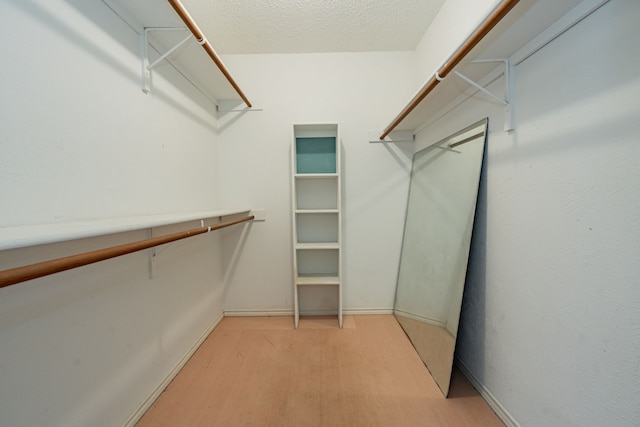 spacious closet with light wood-type flooring