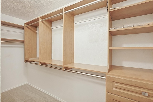 spacious closet featuring carpet