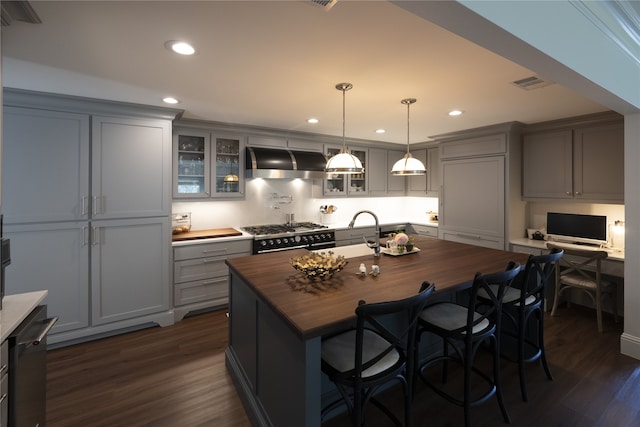 kitchen with a kitchen island with sink, ventilation hood, sink, dark hardwood / wood-style floors, and stainless steel gas stove