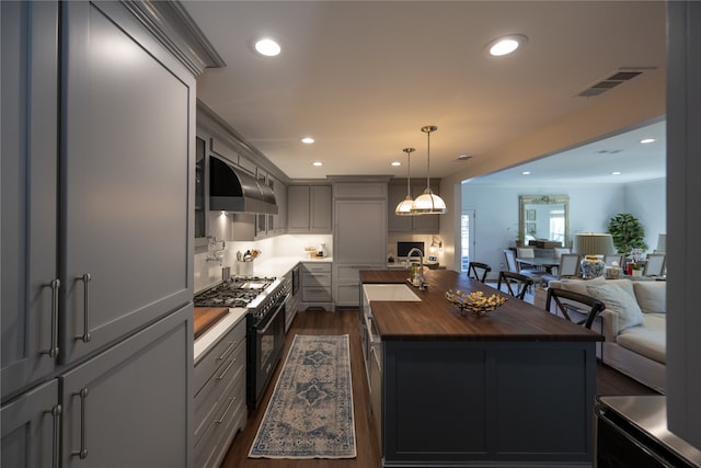 kitchen featuring gray cabinetry, dark hardwood / wood-style floors, sink, and a kitchen island with sink