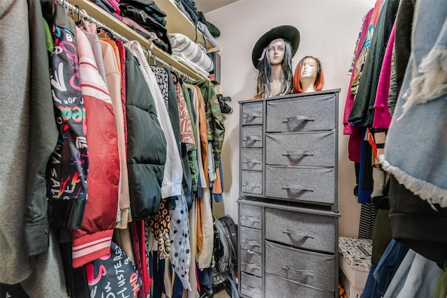 view of spacious closet