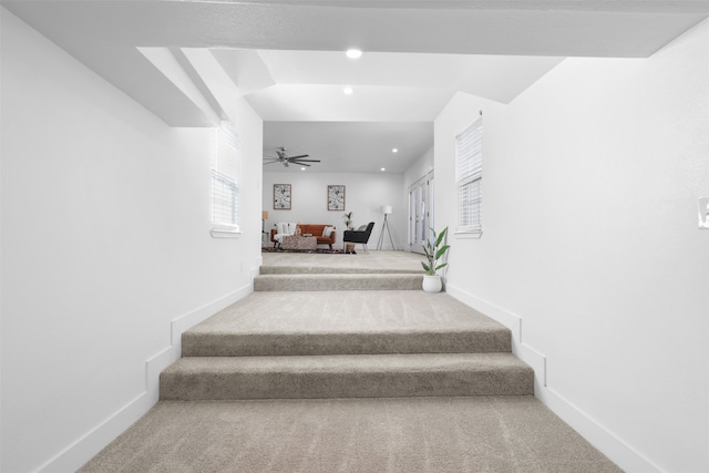 staircase with carpet floors and ceiling fan