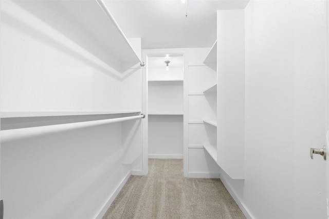 walk in closet with light colored carpet