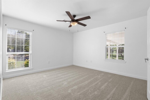 spare room featuring light carpet and plenty of natural light