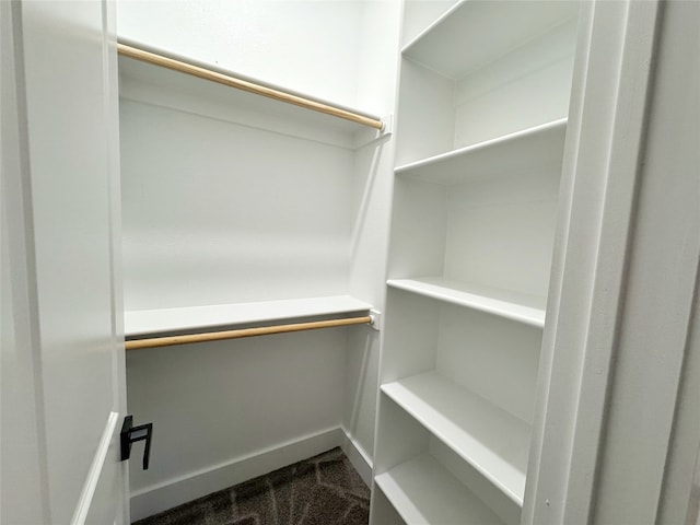 spacious closet with dark colored carpet