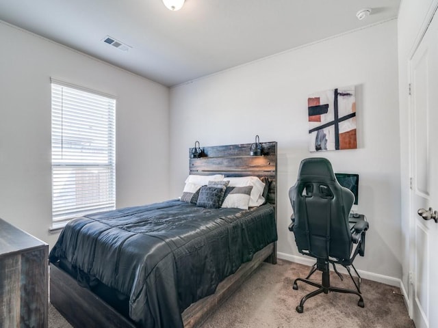 bedroom with carpet flooring