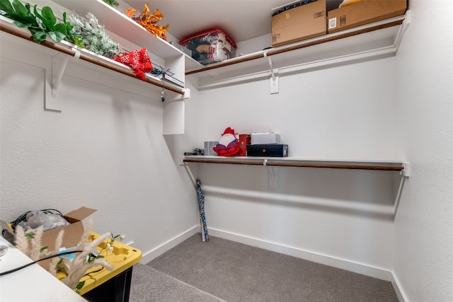 walk in closet featuring carpet flooring