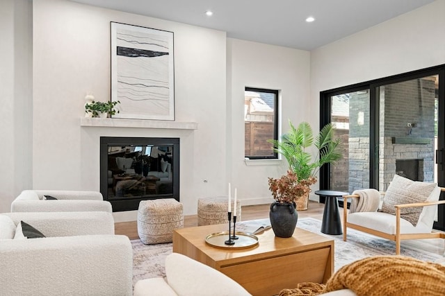 living room featuring light hardwood / wood-style floors