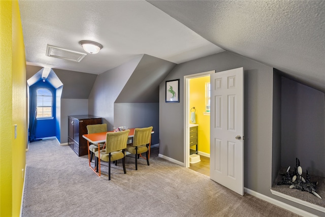 additional living space with vaulted ceiling, light carpet, and a textured ceiling