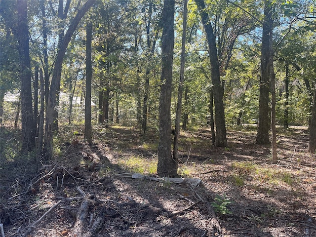 Listing photo 3 for TBD E Beachwood Loop, Trinidad TX 75163