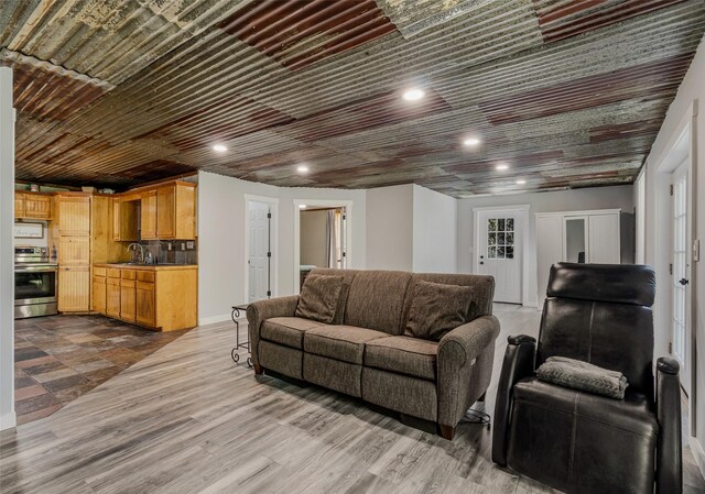 living room featuring sink and light hardwood / wood-style flooring