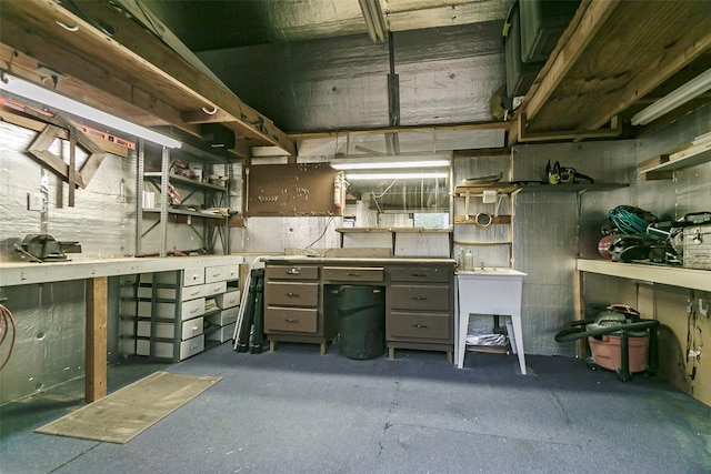 basement with a workshop area