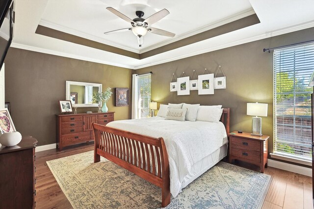 bedroom featuring dark hardwood / wood-style flooring, a tray ceiling, multiple windows, and ceiling fan