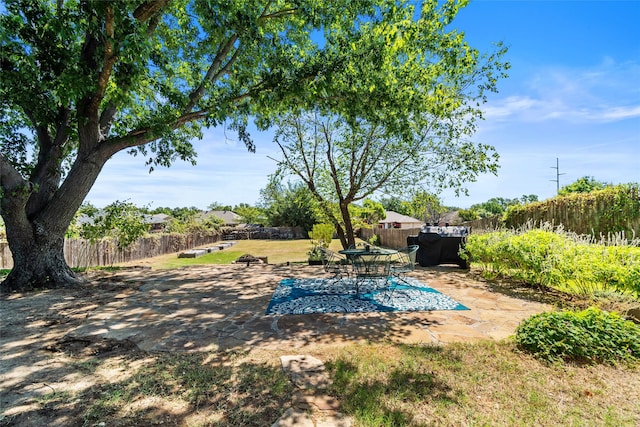 exterior space with a patio area and a yard