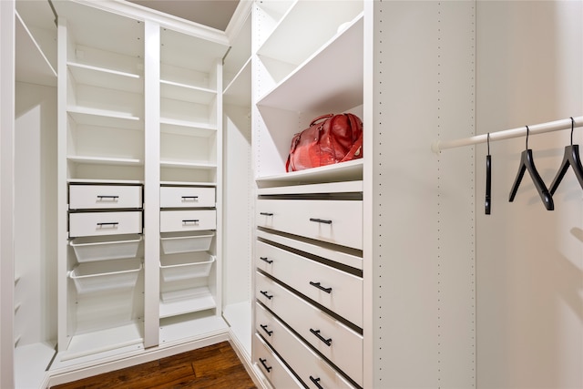 walk in closet with dark hardwood / wood-style flooring