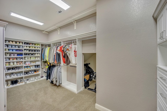 spacious closet with light carpet