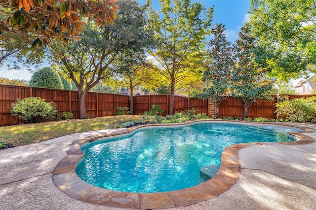 view of swimming pool