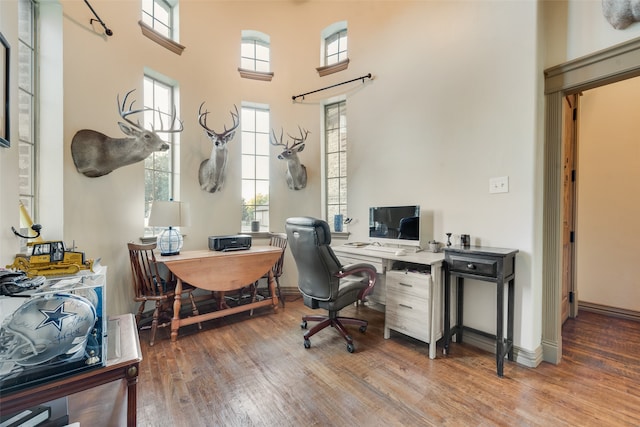 office featuring a high ceiling and hardwood / wood-style flooring