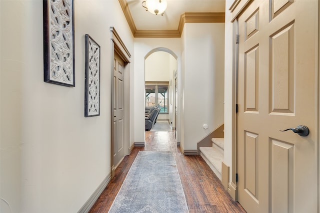 hall with ornamental molding and dark hardwood / wood-style floors