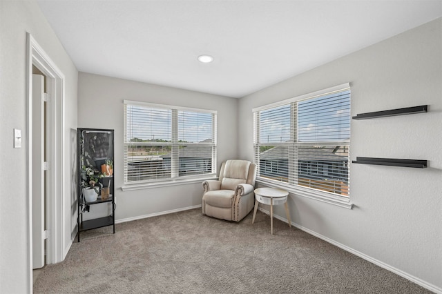 living area featuring light colored carpet