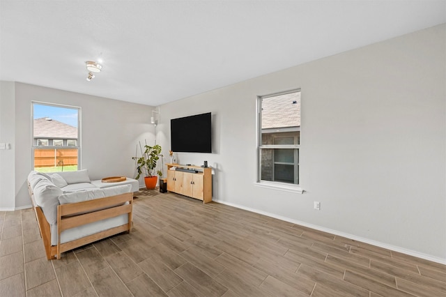 living room featuring hardwood / wood-style floors