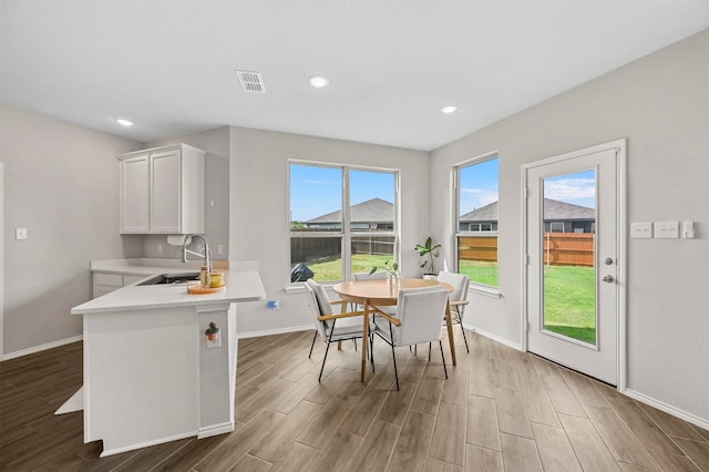 interior space with dark hardwood / wood-style floors and sink