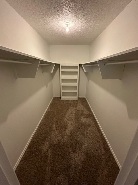 spacious closet with carpet flooring