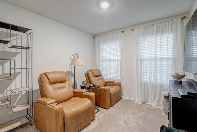 living area with light colored carpet