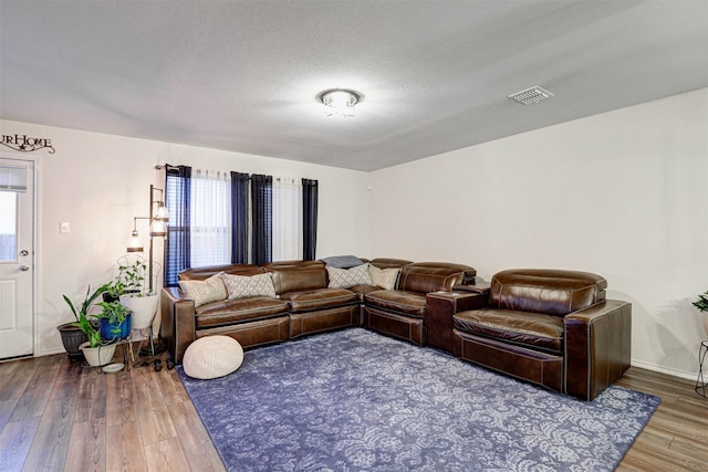 living room featuring a healthy amount of sunlight, a textured ceiling, and hardwood / wood-style flooring