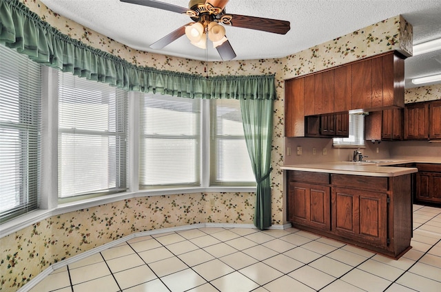 kitchen featuring a textured ceiling, ceiling fan, a healthy amount of sunlight, and sink