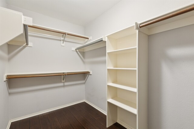 spacious closet featuring dark hardwood / wood-style floors