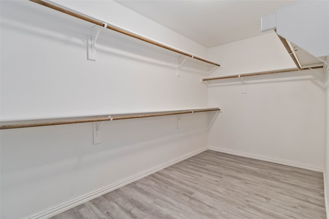 walk in closet with light hardwood / wood-style flooring