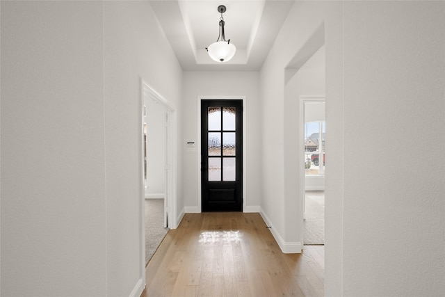 entryway featuring light hardwood / wood-style floors and a tray ceiling