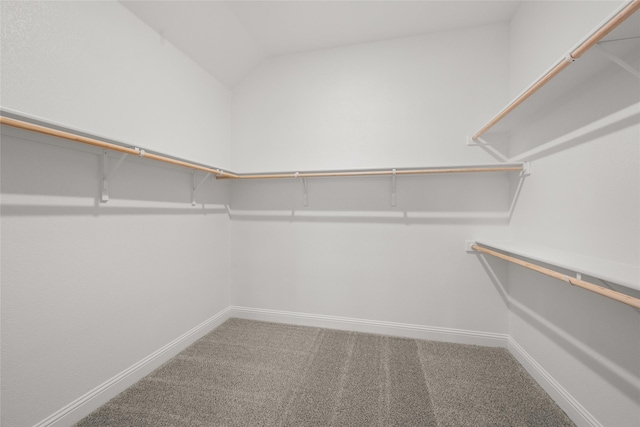 walk in closet featuring carpet floors and vaulted ceiling