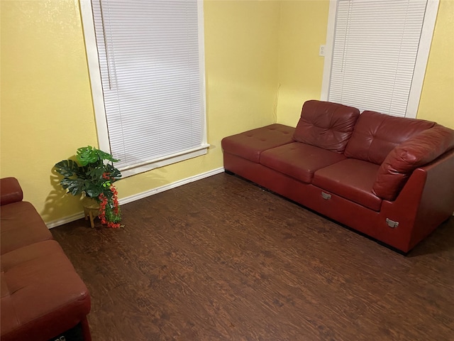 living room with dark wood-type flooring