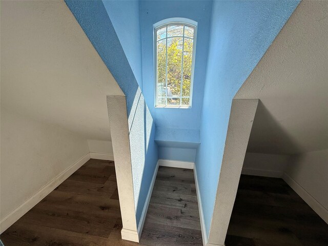 stairs with hardwood / wood-style floors