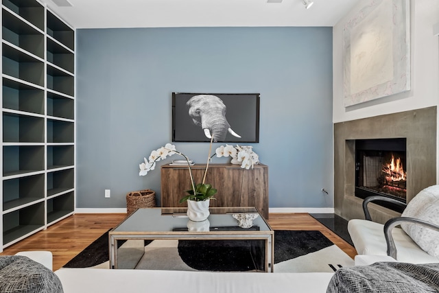 living room featuring hardwood / wood-style flooring and a fireplace