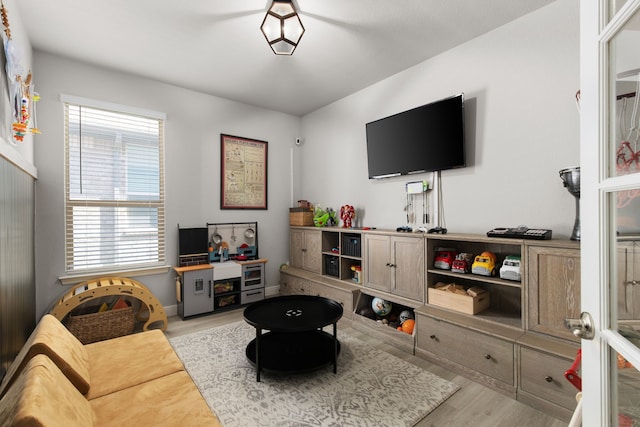 living room featuring light hardwood / wood-style floors