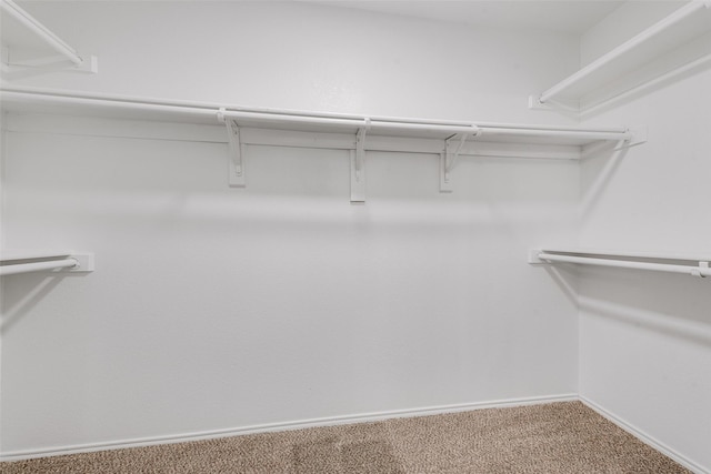 walk in closet featuring carpet flooring