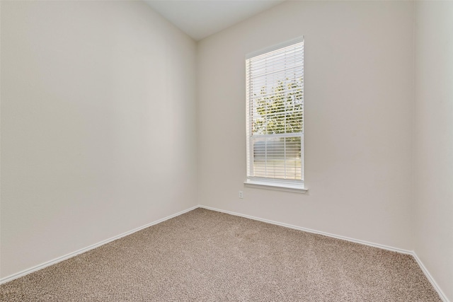 unfurnished room featuring carpet flooring